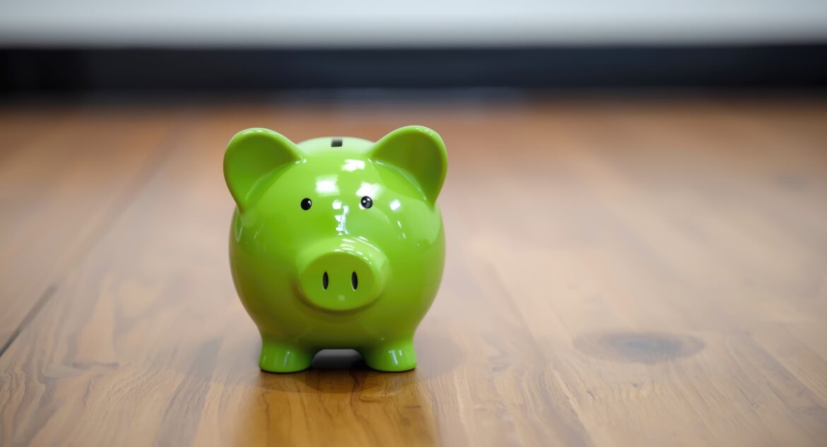 Flooring on a Budget
